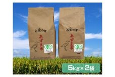 【令和5年産】JAS有機コシヒカリ10kg [0953]