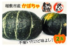 訳あり かぼちゃ 稲敷市産 1箱(2個入)GI認証なし 産地直送 採れたて完熟！大野さんのかぼちゃ｜南瓜 カボチャ 稲敷 江戸崎地区 完熟 [1024]