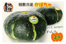 稲敷市産 かぼちゃ 1箱(2個入)GI認証なし 産地直送 採れたて完熟！大野さんのかぼちゃ｜南瓜 カボチャ 稲敷 江戸崎地区 完熟 [1023]