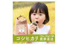 新米【令和7年産】無洗米 コシヒカリ 10kg (5kg×2) 稲敷市産 農家直送｜米 こめ コメ ごはん ご飯 [1626]