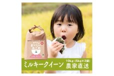 新米【令和7年産】稲敷市産 ミルキークイーン 10kg (5kg×2) 農家直送｜米 こめ コメ ごはん ご飯 [1632]
