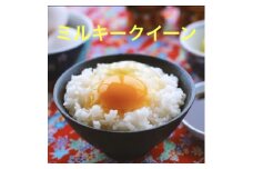 新米【令和7年産】ミルキークイーン 白米 5kg もっちりあまあま！茨城県産 ブランド米 [1665]