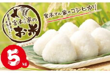 新米 【令和7年産】茨城県稲敷市産 宮本さん家のこしひかり 5kg×1袋｜米 おこめ コシヒカリ 精米 農家直送 直送 茨城県 [1651]