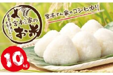 新米 【令和7年産】茨城県稲敷市産 宮本さん家のこしひかり 10kg(5kg×2袋)｜米 おこめ コシヒカリ 精米 農家直送 直送 茨城県 [1652]