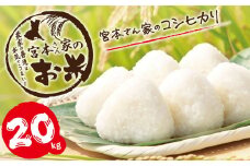 新米 【令和7年産】茨城県稲敷市産 宮本さん家のこしひかり 20kg(10kg×2袋)｜米 おこめ コシヒカリ 精米 農家直送 直送 茨城県 [1654]