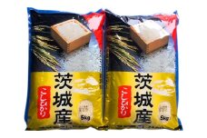 【令和6年産】お米の王様！茨城県産 コシヒカリ 白米 10kg (5kg×2袋)｜おこめ 精米 こしひかり 直送 稲敷 茨城 [1623]