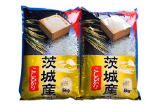 【令和6年産】お米の王様！茨城県産 コシヒカリ 白米 10kg (5kg×2袋)｜おこめ 精米 こしひかり 直送 稲敷 茨城 [1623]