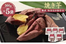 焼き芋「熟成　紅はるか」詰合せ【1022599】