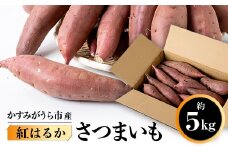 かすみがうら市産　さつまいも(紅はるか)約5kg【1103815】