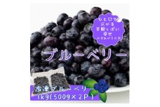 冷凍ブルーベリー1kg(500g×2パック)【1108080】