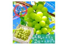 ＜先行受付＞茨城県かすみがうら市産　シャインマスカット2房(約700g×2)【1130740】