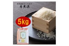 大粒だけを選びました!令和5年産　茨城県産コシヒカリ「寿米流(すまいる)」5kg【1130992】
