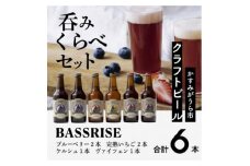 クラフトビール6本セット(ブルーベリー、完熟いちご各2本/ケルシュ、ヴァイツェン各1本)【1235340】