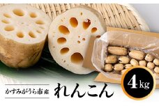 かすみがうら市産　れんこん　4kg【1246233】