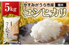 令和6年産かすみがうら市産コシヒカリ  精米  5kg【1268974】