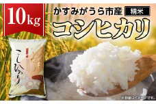 令和6年産かすみがうら市産コシヒカリ  精米  10kg_ 米 お米 コシヒカリ こしひかり 10kg 精米 こめ コメ 国産 白米 ごはん ご飯 もっちり 甘い おいしい おにぎり お弁当 茨城県 かすみがうら市 単一原料米 産地直送 送料無料 【1268976】