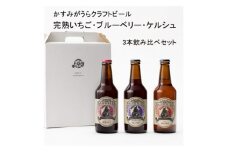 クラフトビール3本セット(ブルーベリー・完熟いちご・ケルシュ)【1301706】