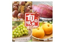 ＜先行受付＞旬のくだもの詰め合わせ　-シャインマスカット・梨・さつまいも・栗-【1337457】