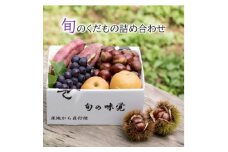 ＜先行受付＞旬のくだもの詰め合わせ　-巨峰・梨・さつまいも・栗-【1337466】