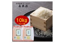 大粒サイズだけを選びました!　茨城県産コシヒカリ寿米流(すまいる)10kg(5kg×2袋)【1342648】