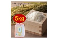 茨城県産ミルキークイーンほたる5kg【1342893】