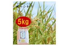茨城県産コシヒカリ風のひかり5kg【1342907】