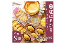 茨城県かすみがうら市産の熟成「紅はるか」を使用した、おいもスイーツセット　4種計9個【1368417】