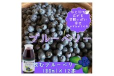 かすみがうら産　飲むブルーベリー　180ml×12本【1377970】