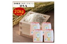 茨城県産ミルキークイーンほたる20kg(5kg×4袋)【1396023】