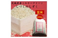 茨城県産ミルキークイーンしづくのしずく30kg(玄米)【1398875】
