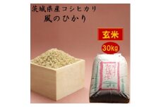 茨城県産コシヒカリ風のひかり30kg(玄米)【1398974】
