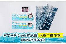 かすみがうら市水族館入館ご優待券および透明骨格標本3点【1407094】