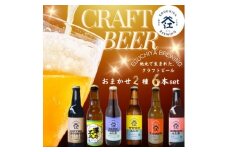 霞ヶ浦エリアの醸造所　江口屋醸造所のクラフトビール2種6本セット【1415183】