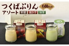 つくばぷりんアソート(6個セット)【1423961】