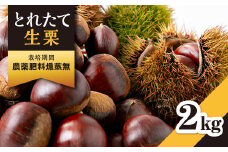 2025年秋配送とれたて生栗2kg栽培期間農薬肥料燻蒸無ショコロンファーム　有名フレンチ使用【1434373】