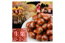 ＜先行受付＞かすみがうら市産　生栗　2Lサイズ　2kg【1437711】
