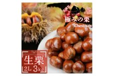 ＜先行受付＞かすみがうら市産　生栗　2Lサイズ　3kg【1437712】
