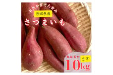 ＜茨城県産＞生さつまいも 紅はるか 10Kg【1437617】