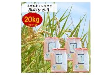 2023年12月発送開始『定期便』お米ソムリエ厳選!茨城県産コシヒカリのお米20kg 全12回【5154869】
