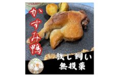 かすみ鴨骨付きモモ肉のコンフィ(2本)【1448787】