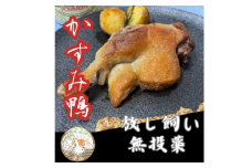 かすみ鴨骨付きモモ肉のコンフィ(2本)【1448787】