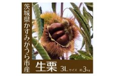 ＜2025年10月発送開始＞産地直送!久保田果樹園の生栗3Lサイズ約3kg【1428287】