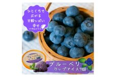『ブルーベリーやすだ』の濃厚ブルーベリーアイス　7個セット【1452589】