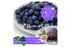 『ブルーベリーやすだ』の濃厚ブルーベリーアイス10個　&　冷凍ブルーベリー500gのセット【1452613】