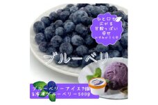 『ブルーベリーやすだ』の濃厚ブルーベリーアイス7個　&　冷凍ブルーベリー500gのセット【1452635】