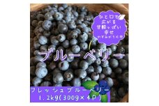 かすみがうら市特産　フレッシュブルーベリー　300g×4パック【1237741】