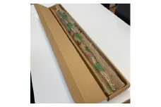 かすみがうら市産　自然薯1本(約1kg)【1103814】