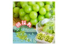 茨城県かすみがうら市産シャインマスカット　約2Kg (3～5房)【1474047】