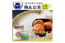 茨城県産『常陸乃梅』　大粒Aランク梅干し　無添加　1Kg　&　ふくまる厳選米　2Kg【1475658】