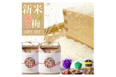 茨城県産『常陸乃梅』梅干し3種 & ふくまる厳選米 精米 2kg×2袋【1481019】